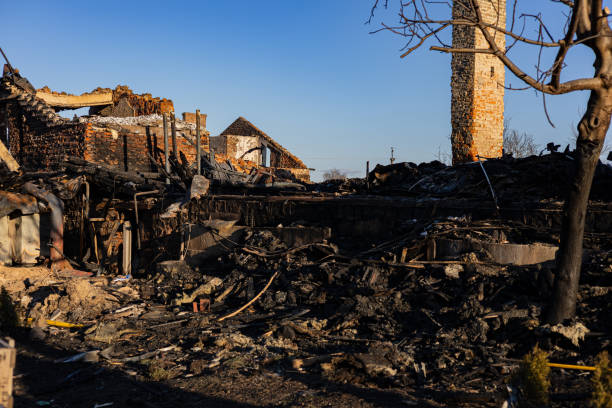 Reliable Fire Damage Repair contractor in Luke Air Force Base, AZ by Fire Damage Doption