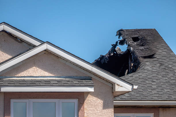 Top rated local Fire Damage Repair specialists in Luke Air Force Base, AZ